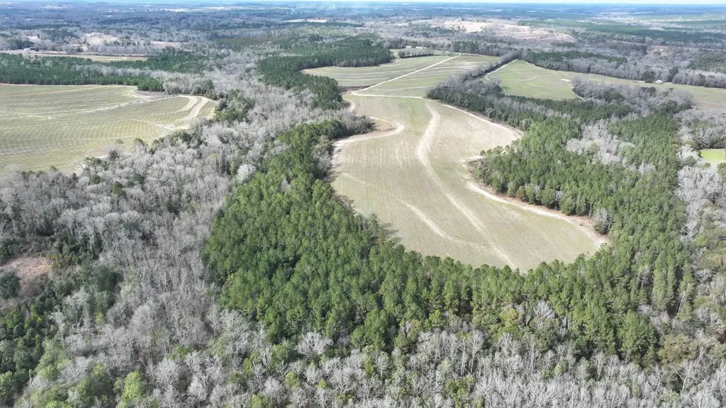 Xx Highway 201 Brundidge AL 36010