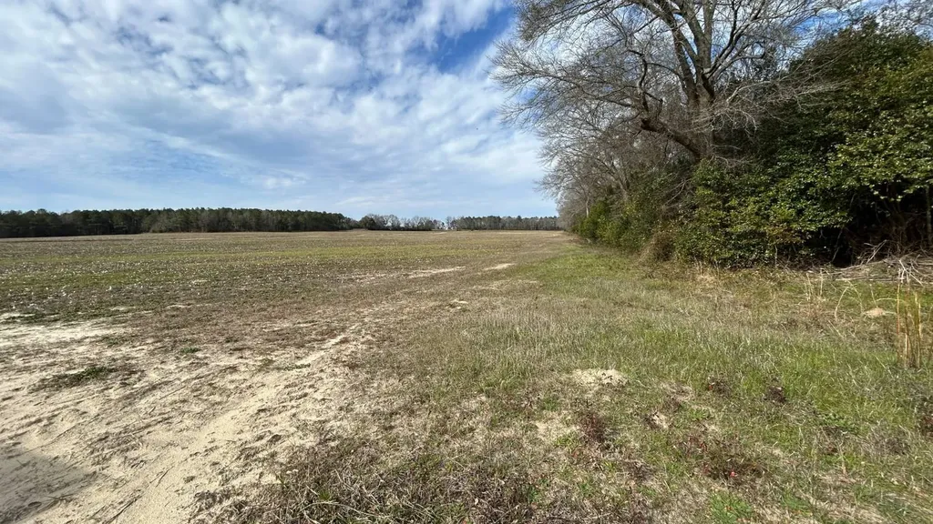 Xx Highway 201 Brundidge AL 36010