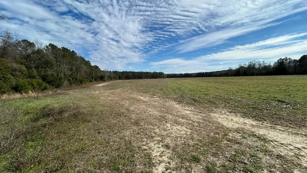 Xx Highway 201 Brundidge AL 36010