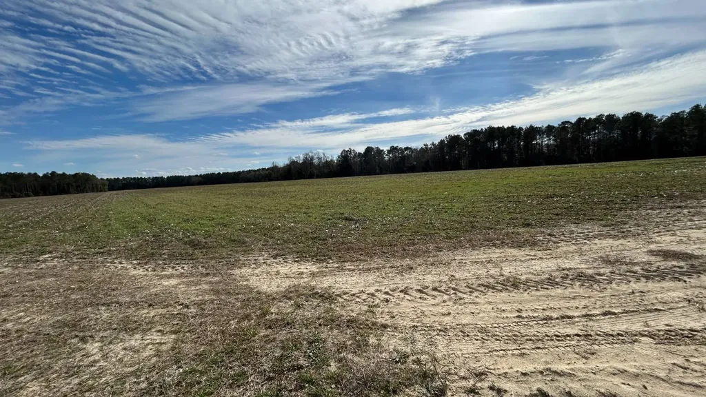 Xx Highway 201 Brundidge AL 36010