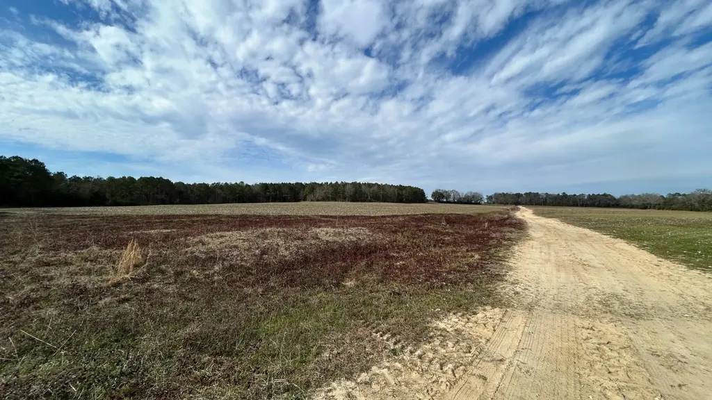 Xx Highway 201 Brundidge AL 36010