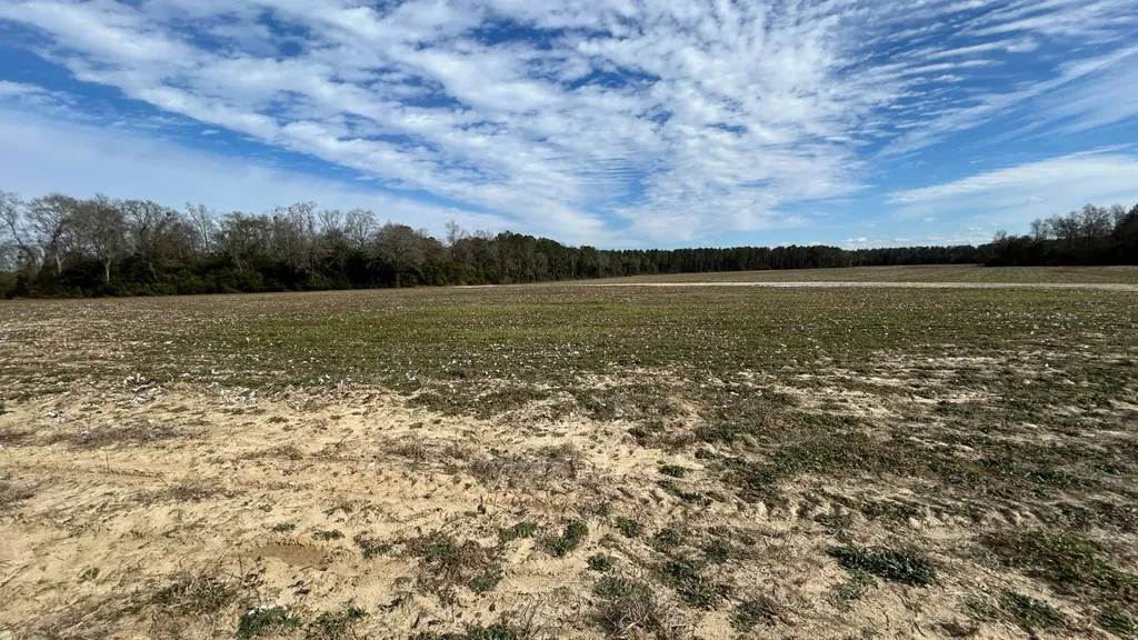 Xx Highway 201 Brundidge AL 36010
