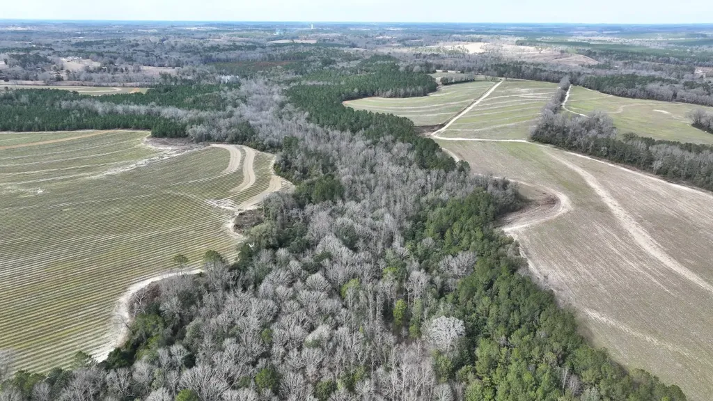 Xx Highway 201 Brundidge AL 36010