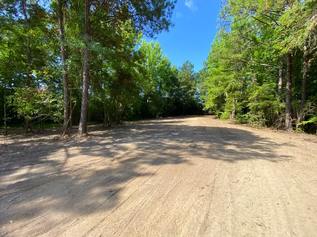 12775 Hagler Coaling Road Cottondale AL 35453