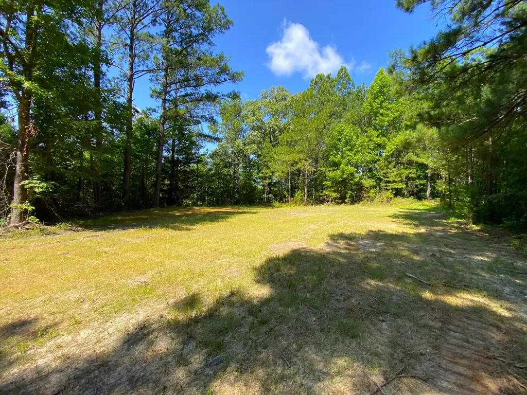 12775 Hagler Coaling Road Cottondale AL 35453