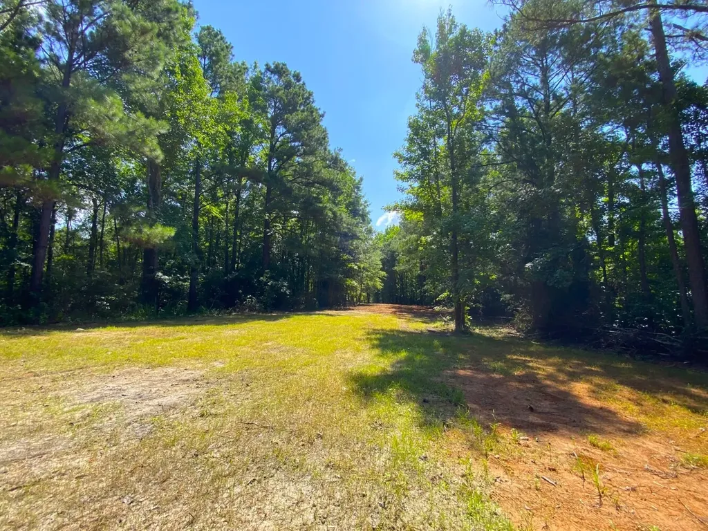 12775 Hagler Coaling Road Cottondale AL 35453