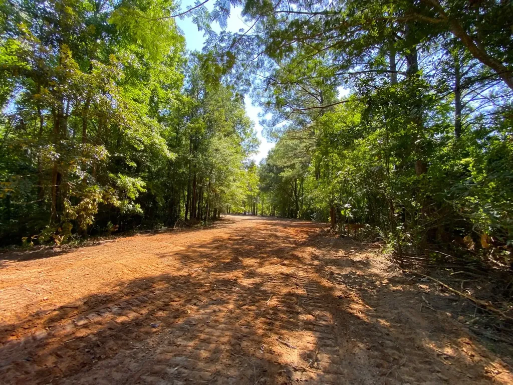 12775 Hagler Coaling Road Cottondale AL 35453