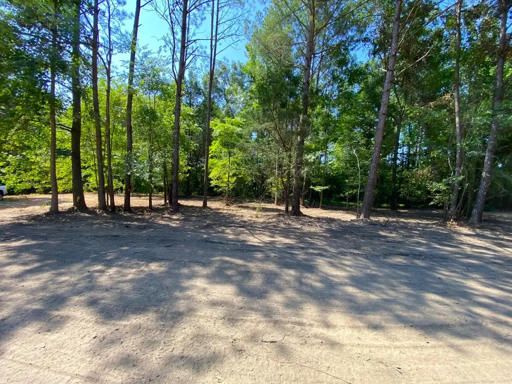 12775 Hagler Coaling Road Cottondale AL 35453