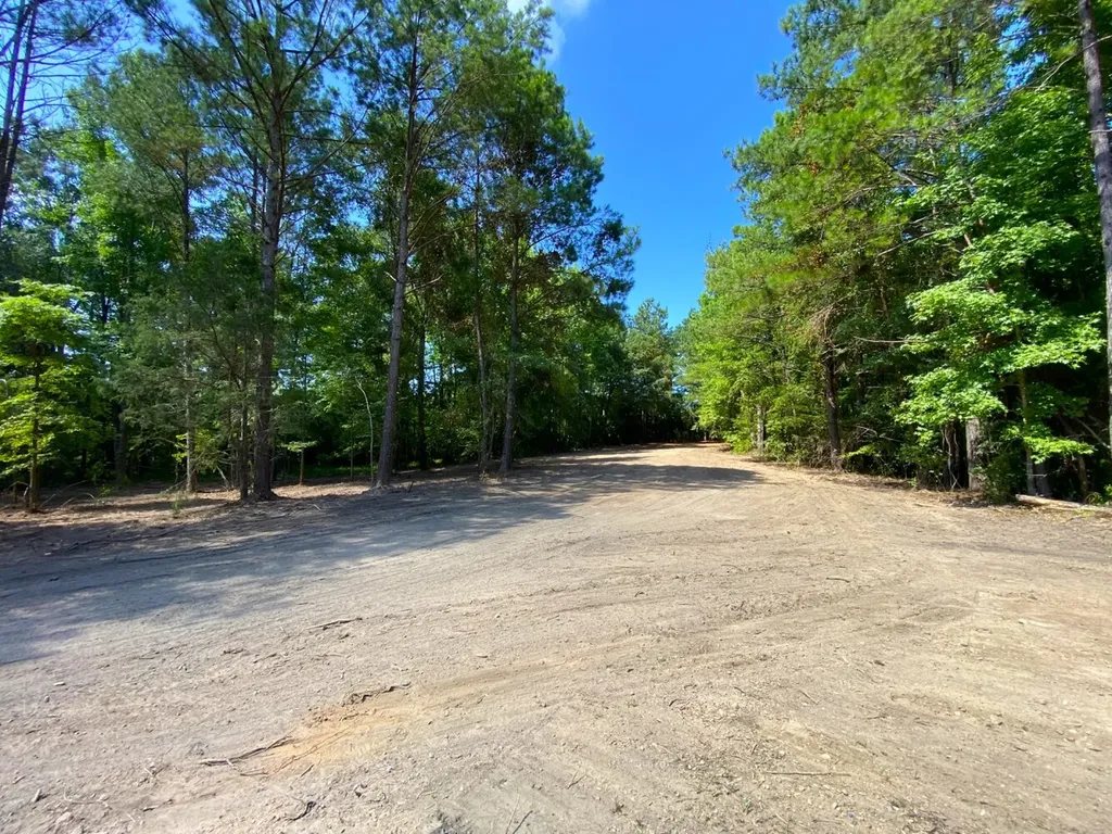 12775 Hagler Coaling Road Cottondale AL 35453