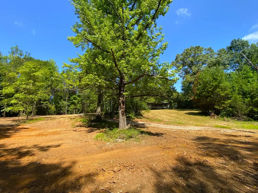 12775 Hagler Coaling Road Cottondale AL 35453