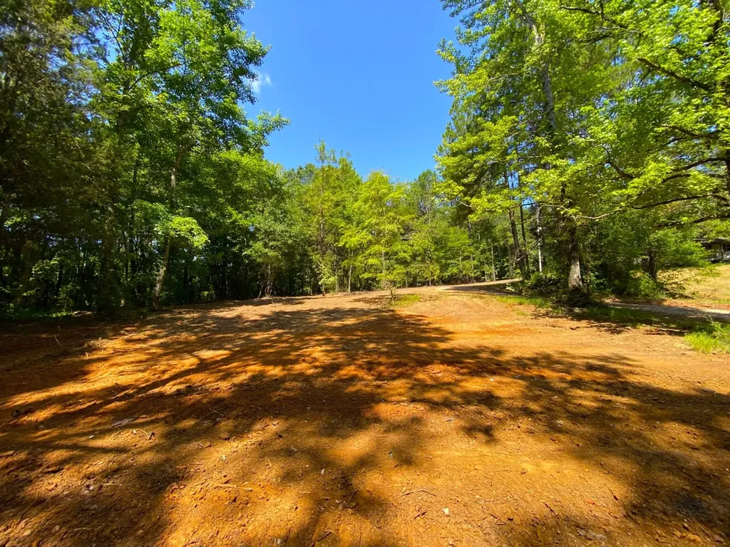 12775 Hagler Coaling Road Cottondale AL 35453