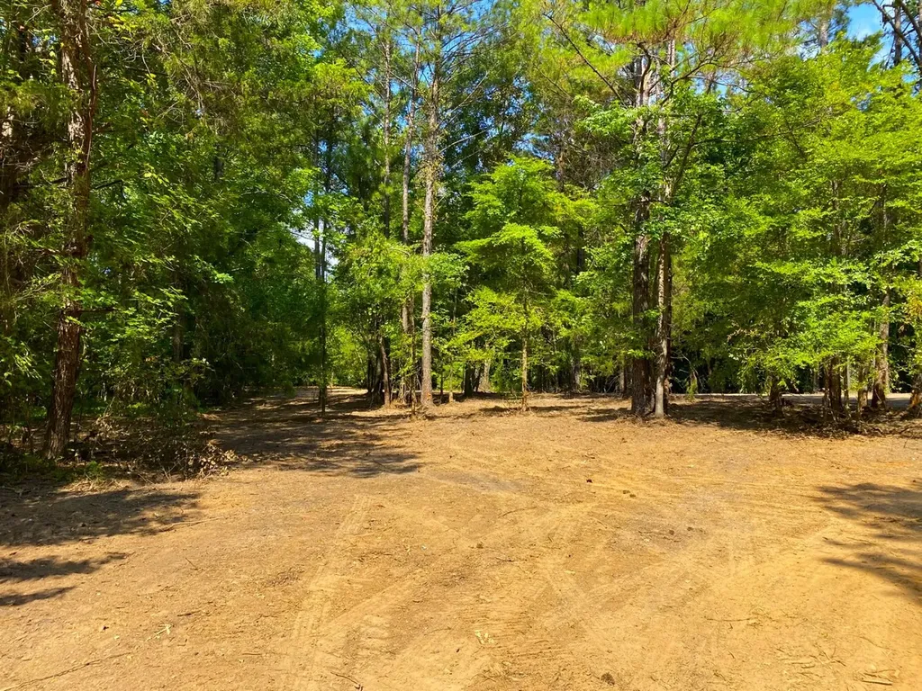 12775 Hagler Coaling Road Cottondale AL 35453
