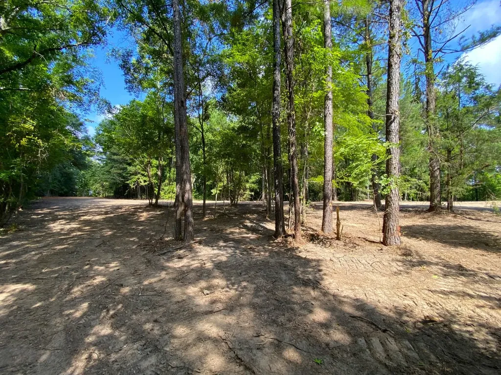 12775 Hagler Coaling Road Cottondale AL 35453