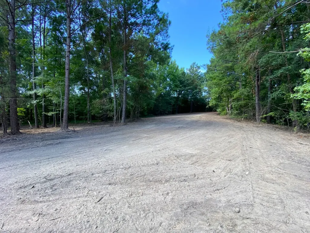 12775 Hagler Coaling Road Cottondale AL 35453