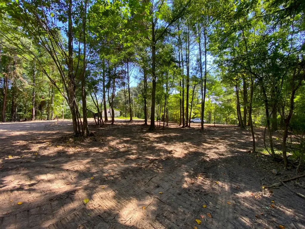 12775 Hagler Coaling Road Cottondale AL 35453