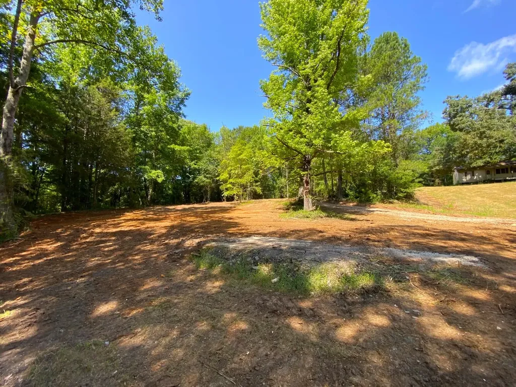 12775 Hagler Coaling Road Cottondale AL 35453