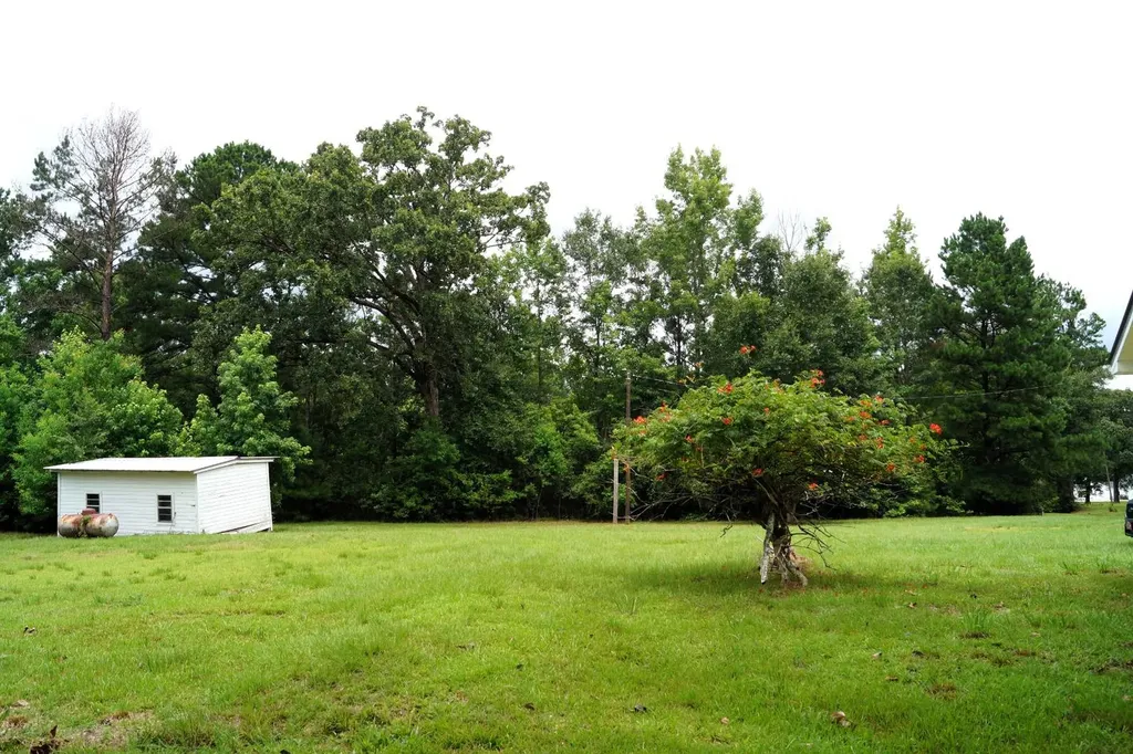 11750 West Central Avenue Chatom AL 36518