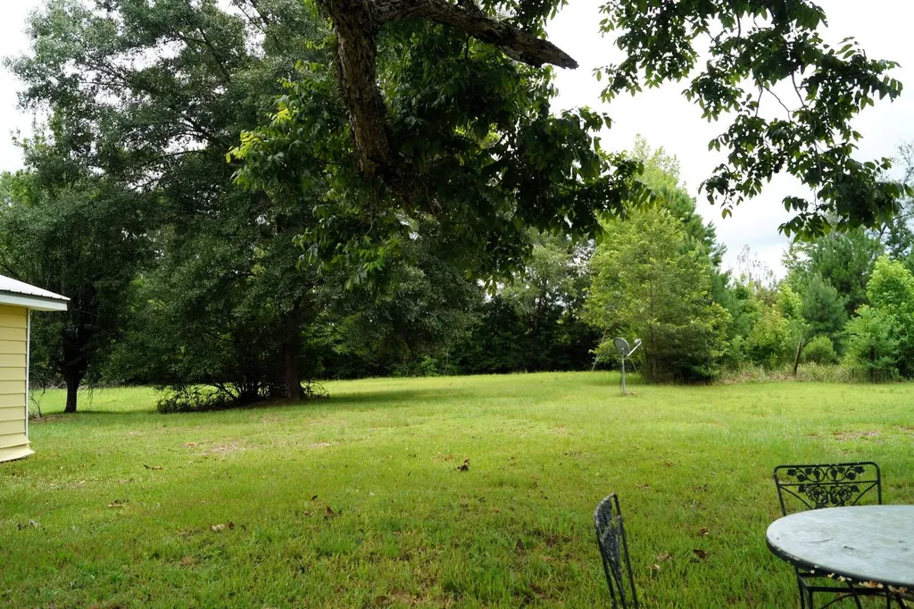 11750 West Central Avenue Chatom AL 36518