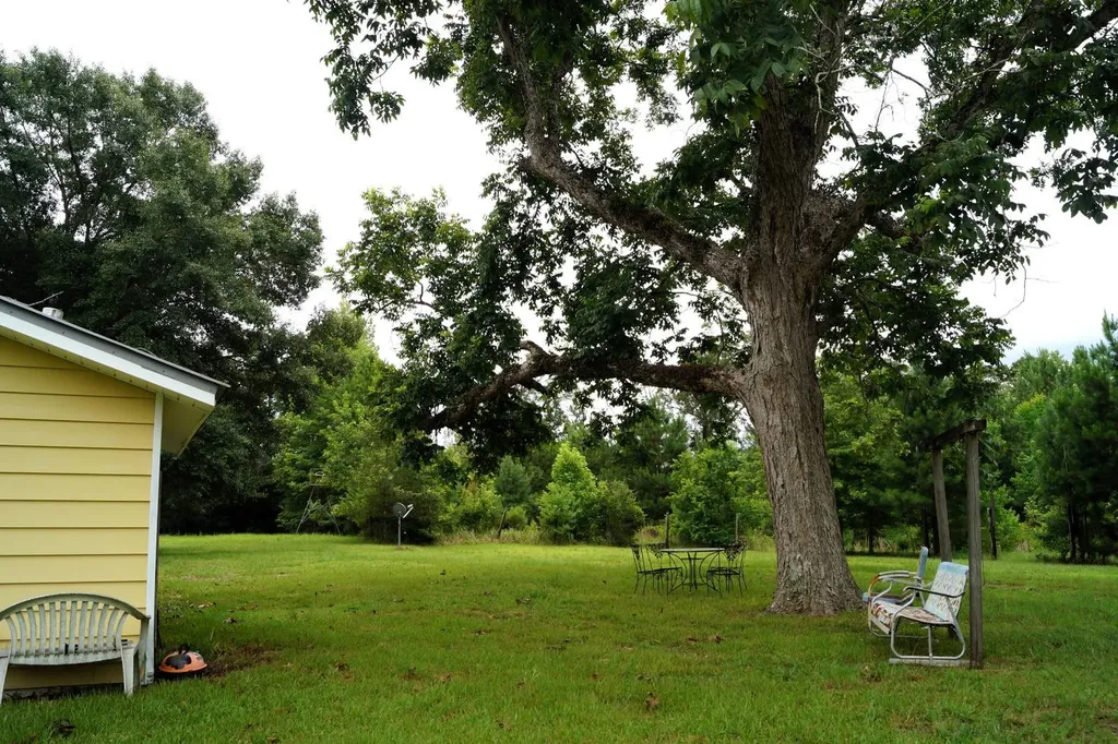 11750 West Central Avenue Chatom AL 36518