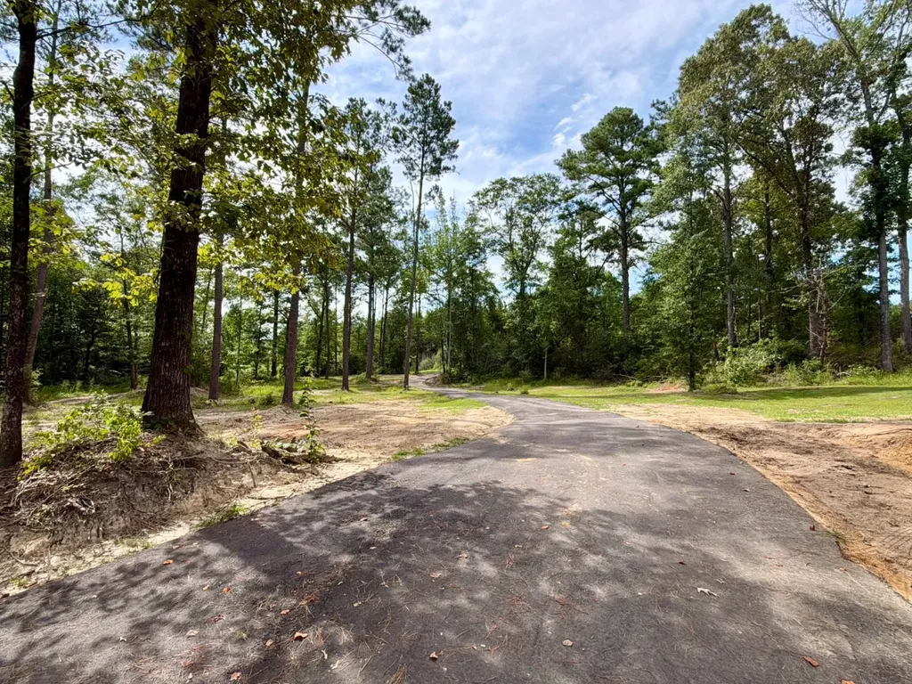 3151 Yellow Pine Road Fruitdale AL 36539