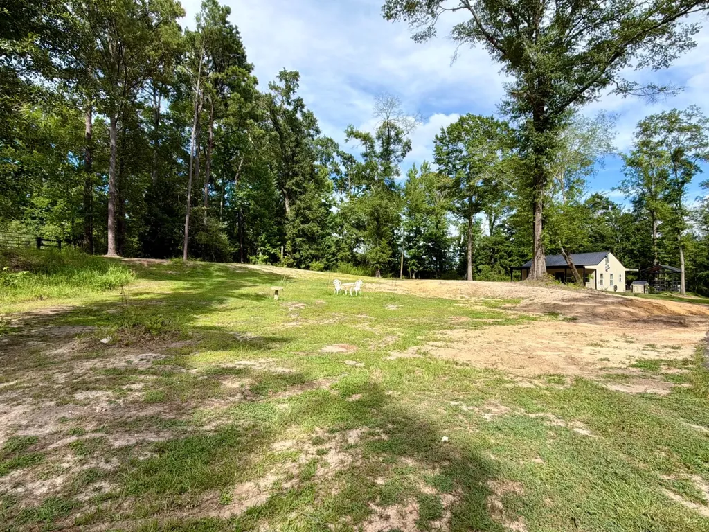 3151 Yellow Pine Road Fruitdale AL 36539