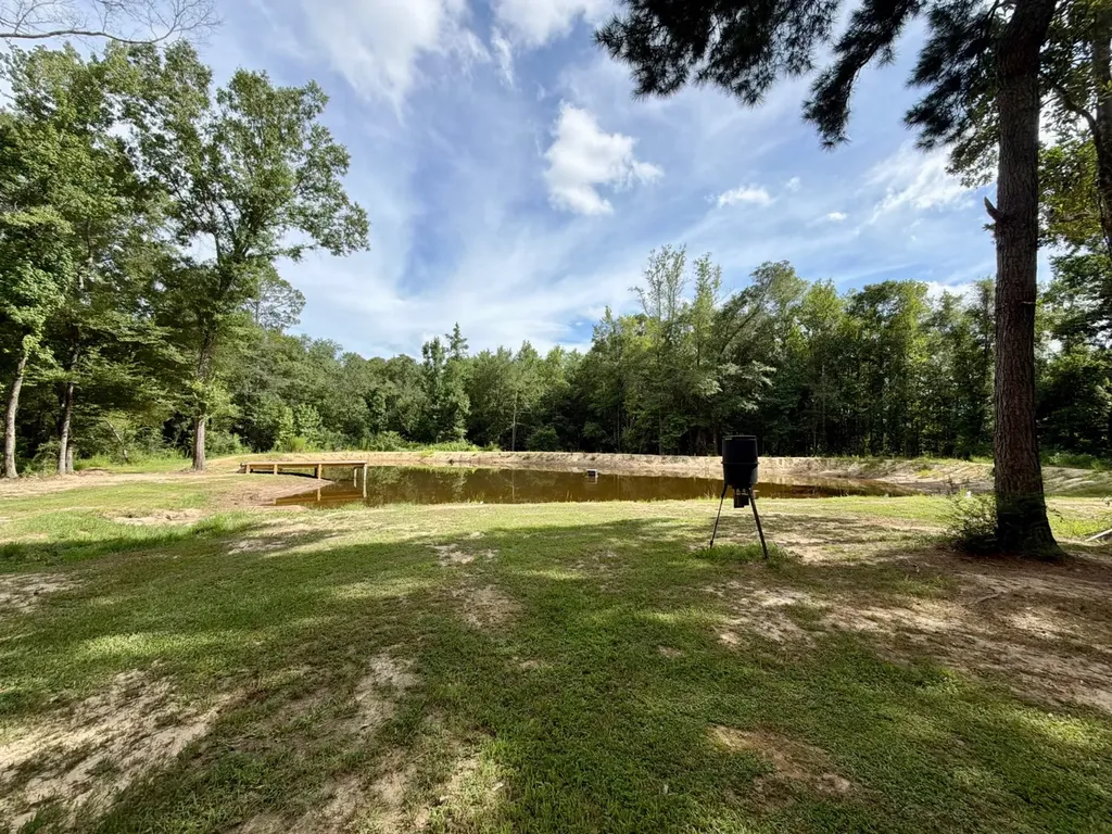 3151 Yellow Pine Road Fruitdale AL 36539