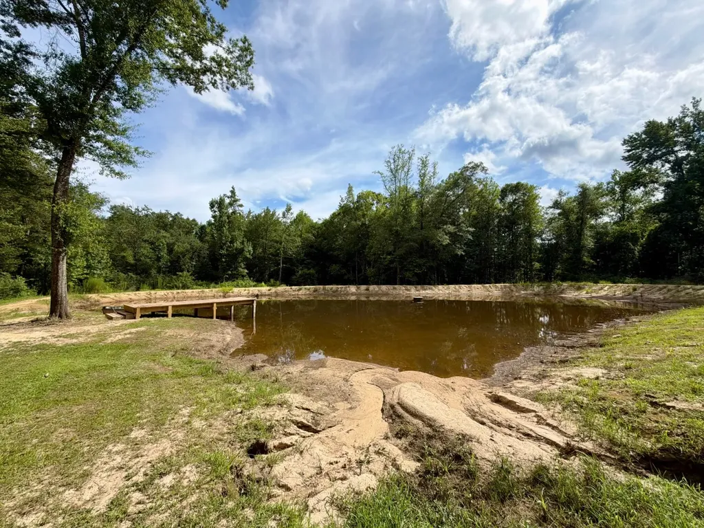 3151 Yellow Pine Road Fruitdale AL 36539