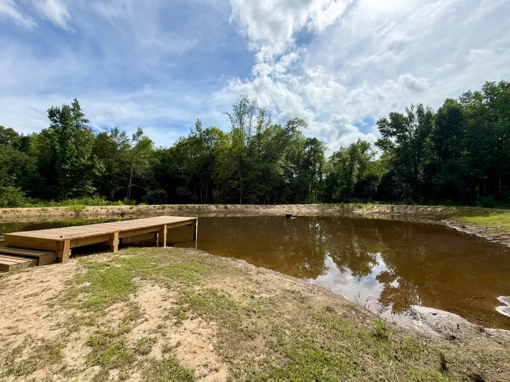 3151 Yellow Pine Road Fruitdale AL 36539