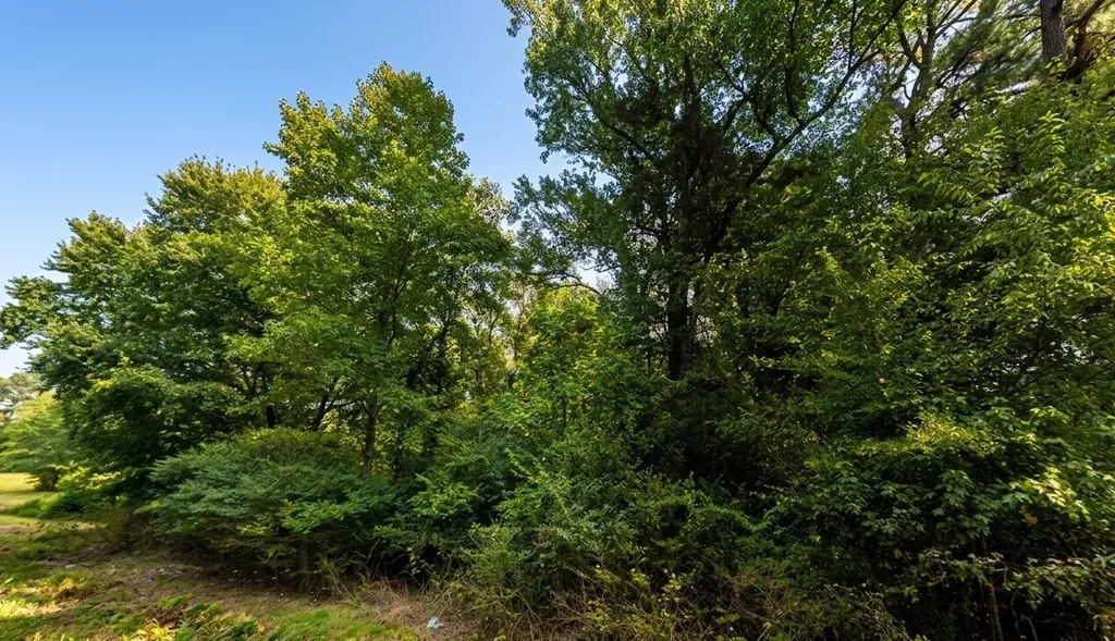 0 Country Road 1564 Baileyton AL 35019