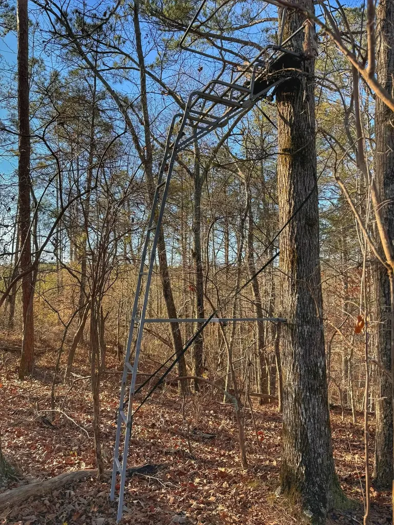 01 County Road 34 Haleyville AL 35565