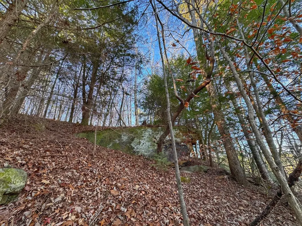 01 County Road 34 Haleyville AL 35565