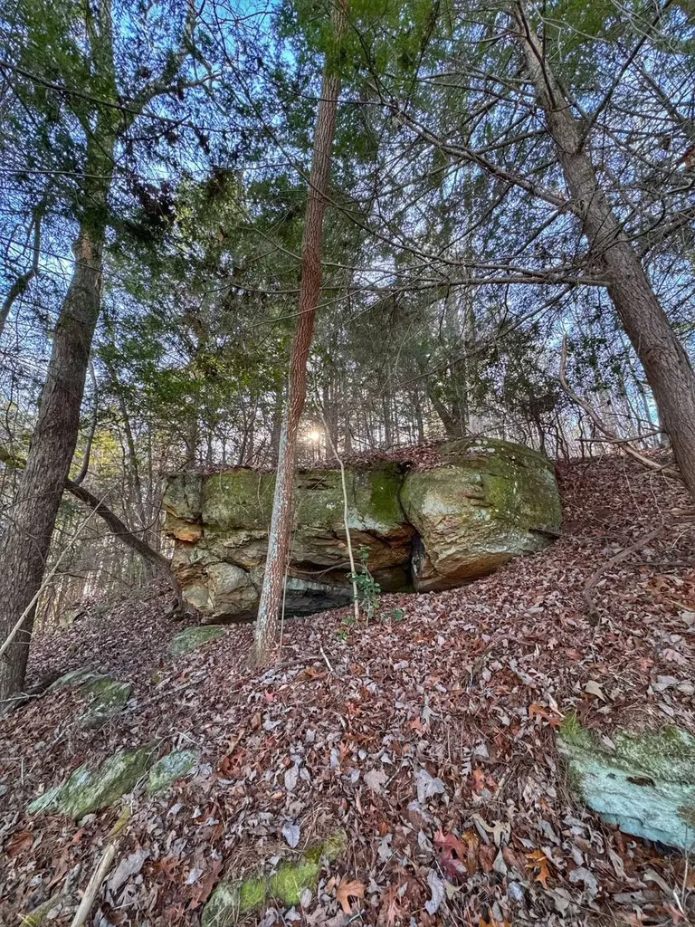 01 County Road 34 Haleyville AL 35565