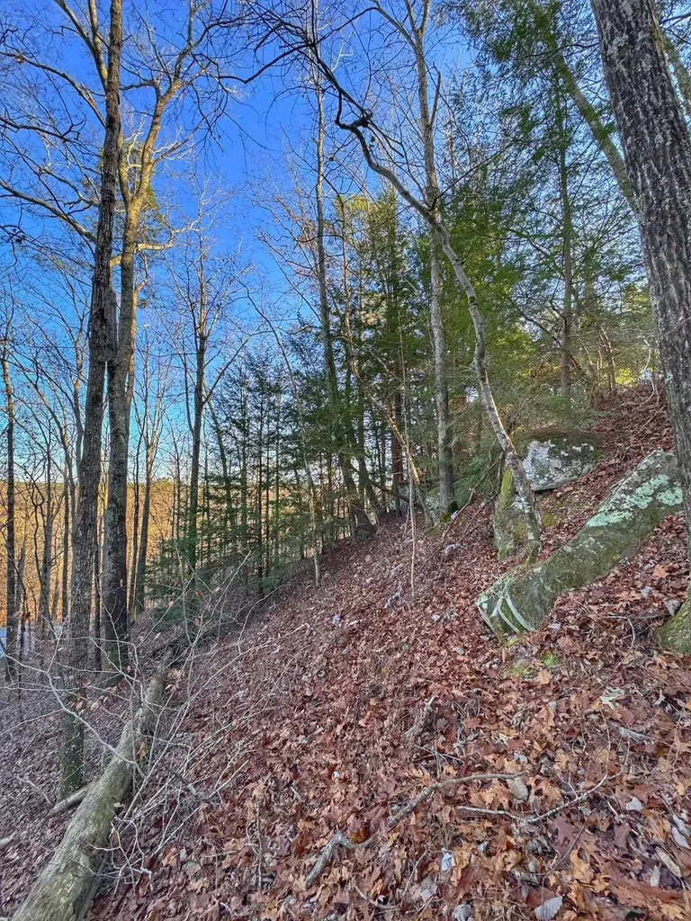 01 County Road 34 Haleyville AL 35565