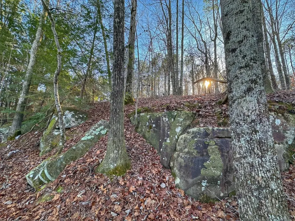 01 County Road 34 Haleyville AL 35565