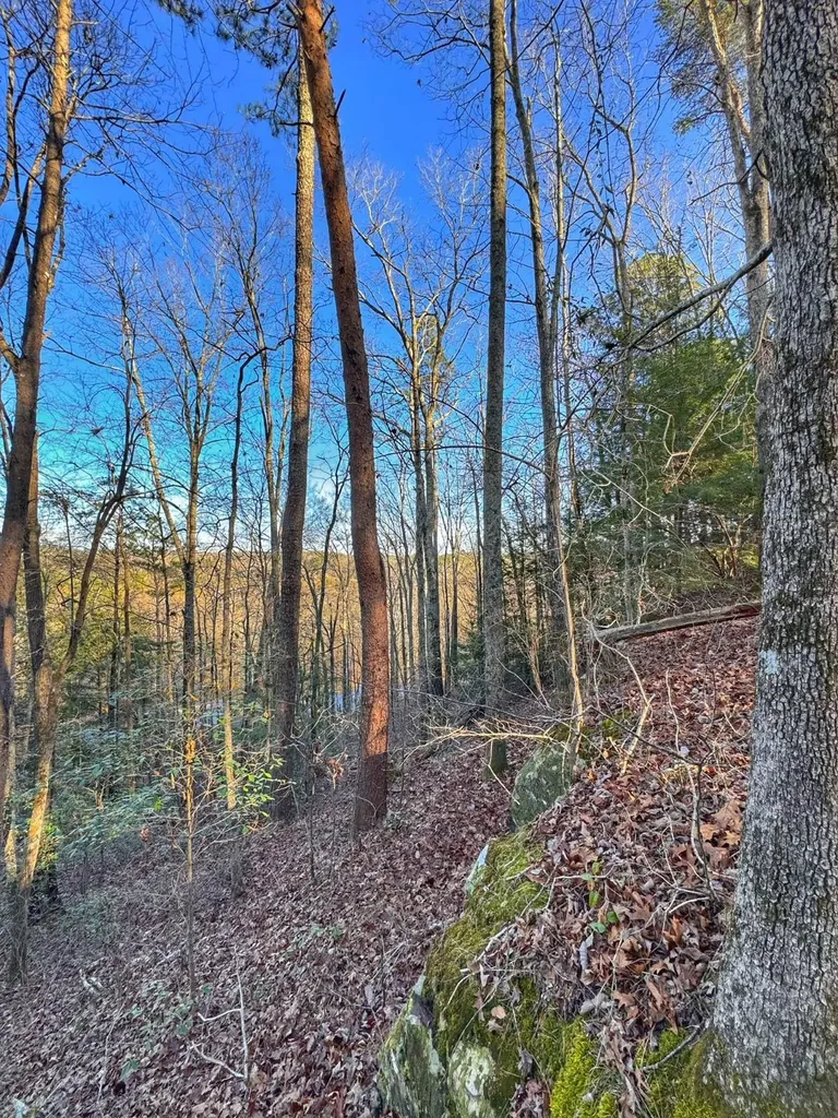 01 County Road 34 Haleyville AL 35565
