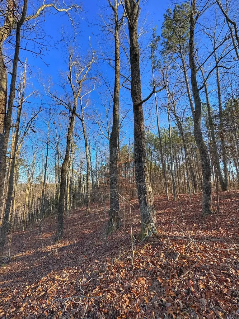 01 County Road 34 Haleyville AL 35565