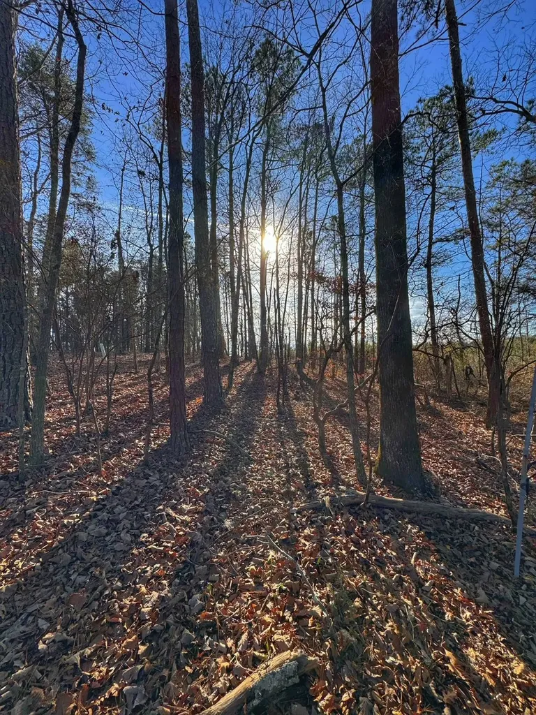01 County Road 34 Haleyville AL 35565