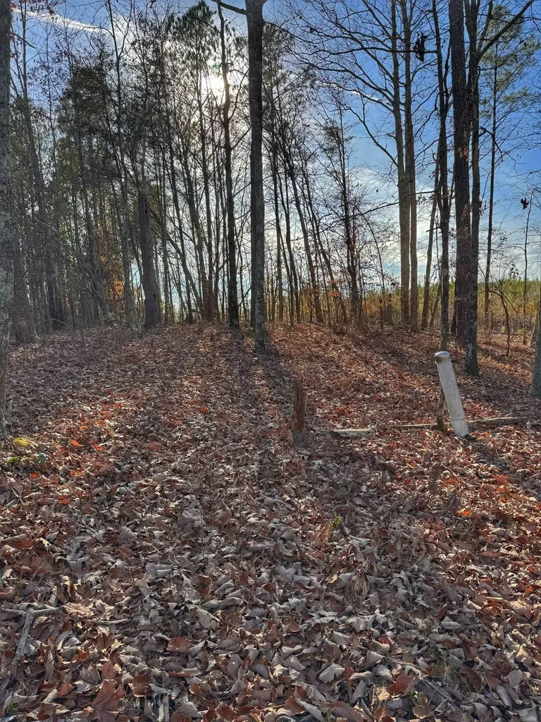 01 County Road 34 Haleyville AL 35565