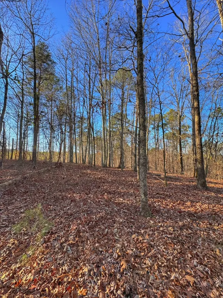 01 County Road 34 Haleyville AL 35565