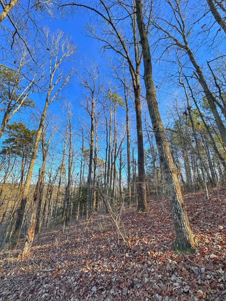01 County Road 34 Haleyville AL 35565