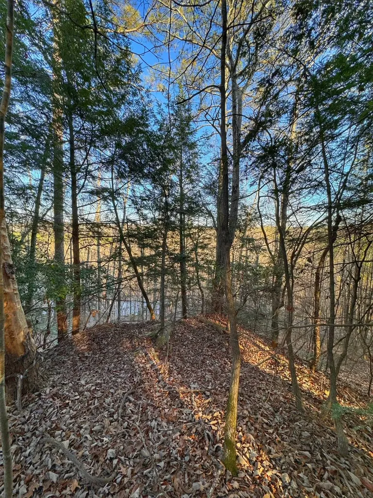 01 County Road 34 Haleyville AL 35565