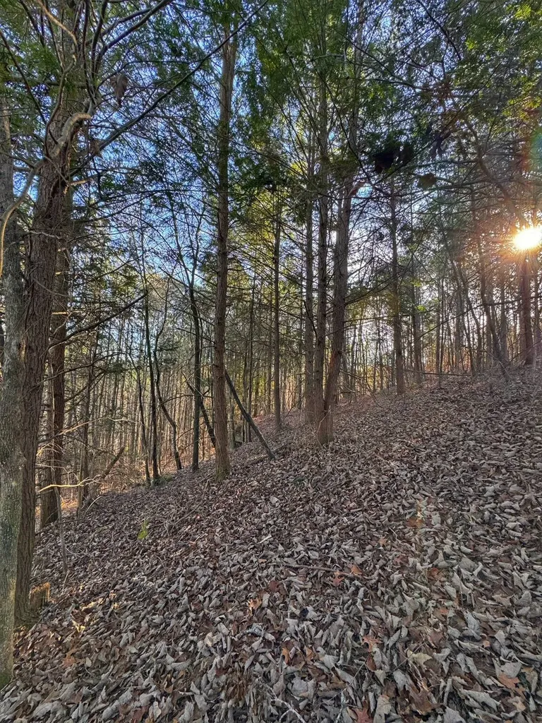 01 County Road 34 Haleyville AL 35565