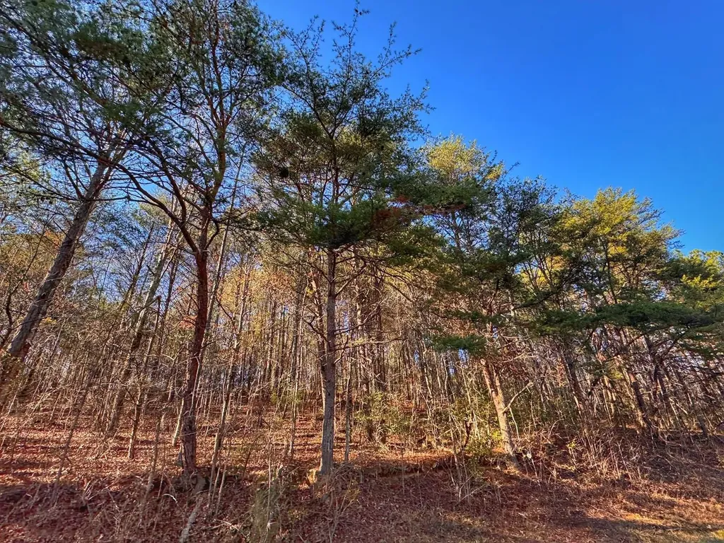 01 County Road 34 Haleyville AL 35565