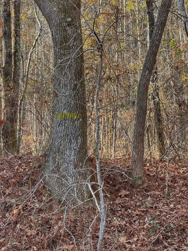 01 County Road 34 Haleyville AL 35565