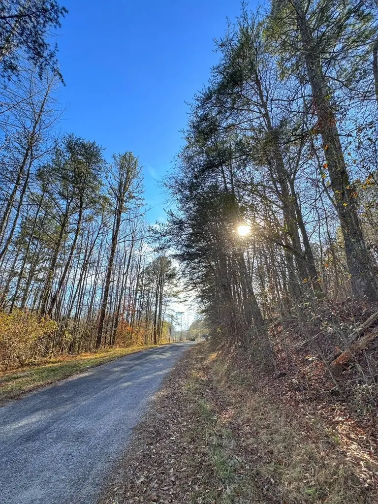 01 County Road 34 Haleyville AL 35565