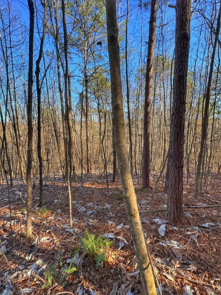 01 County Road 34 Haleyville AL 35565