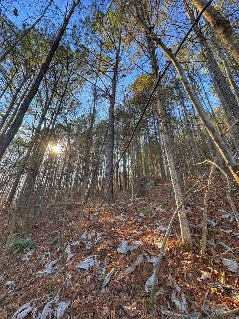 01 County Road 34 Haleyville AL 35565