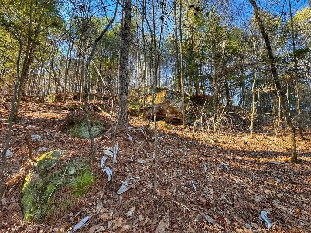 01 County Road 34 Haleyville AL 35565