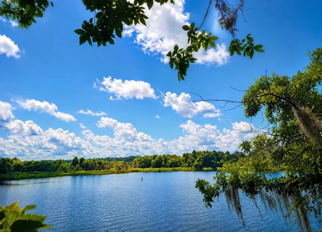 560 Little Woodstock Road Alberta AL 36723