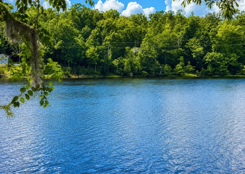560 Little Woodstock Road Alberta AL 36723